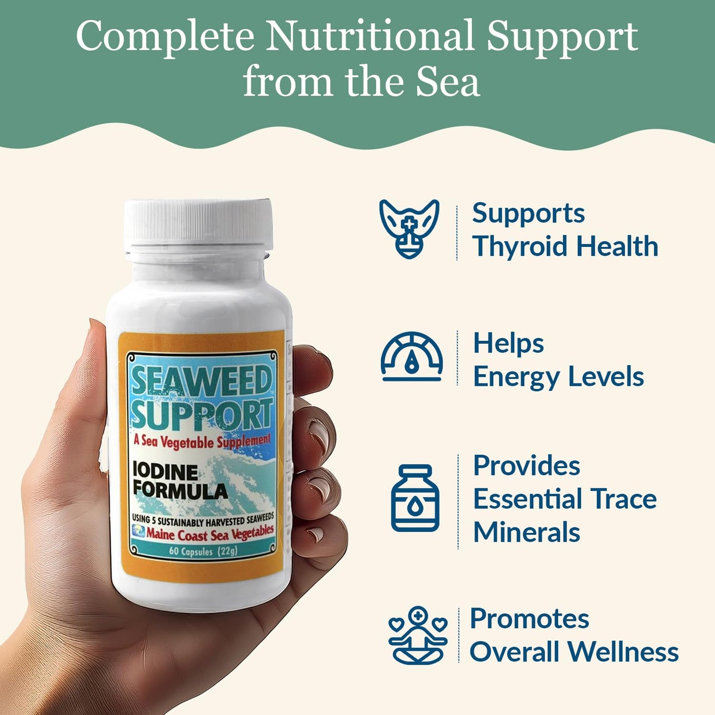 Maine Coast Sea Vegetables Seaweed Support Iodine Formula | Source of Iodine from Seaweed | Daily Use Iodine Supplement | Organic Alaria, Rockweed, Sea Lettuce, Dulse & Bladderwrack blend | 60 Capsule