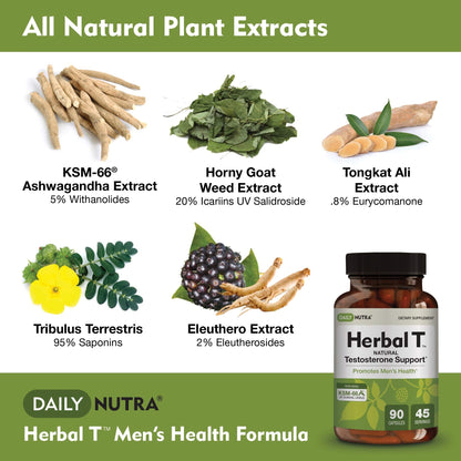 DailyNutra Herbal T Men's Health Formula - Endurance & Vitality (3-Pack)