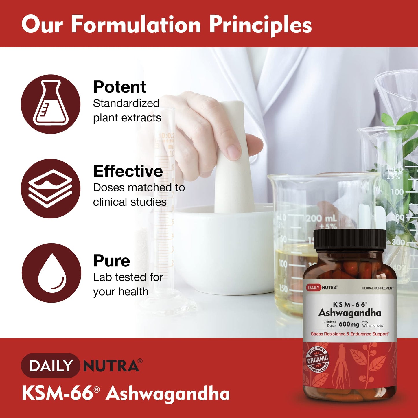 DailyNutra KSM-66 Ashwagandha 600mg Organic Root Extract – High Potency 5% Withanolides (60 Capsules)
