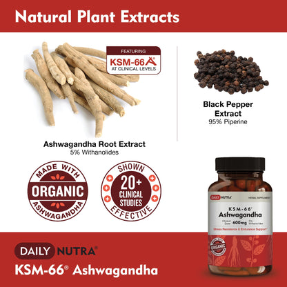 DailyNutra KSM-66 Ashwagandha 600mg Organic Root Extract – High Potency 5% Withanolides (60 Capsules)