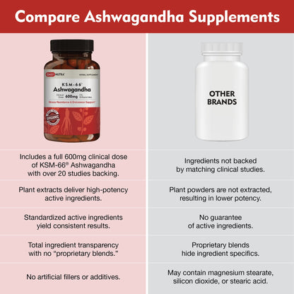 DailyNutra KSM-66 Ashwagandha 600mg Organic Root Extract – High Potency 5% Withanolides (60 Capsules)