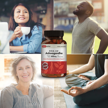 DailyNutra KSM-66 Ashwagandha 600mg Organic Root Extract – High Potency 5% Withanolides (60 Capsules)