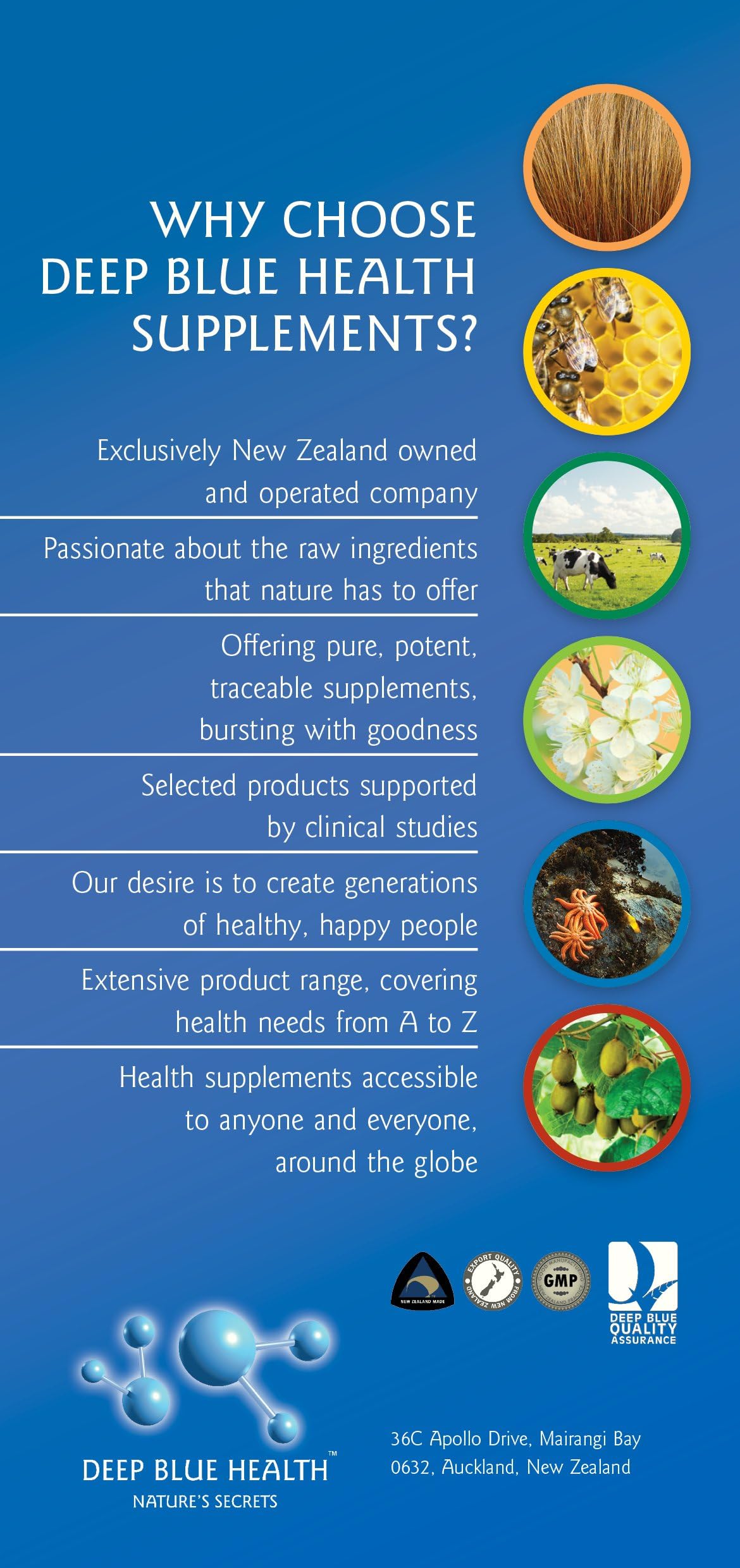Deep Blue Health New Zealand Sea Cucumber 90 Capsules – Immune & Joint Support