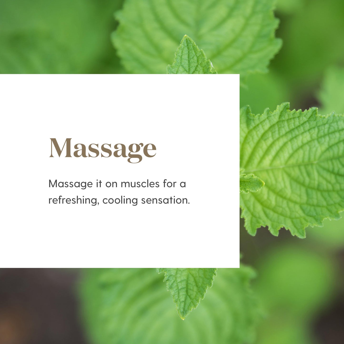 Deep Relief 5 ml by Young Living - Cooling Muscle Roll-On