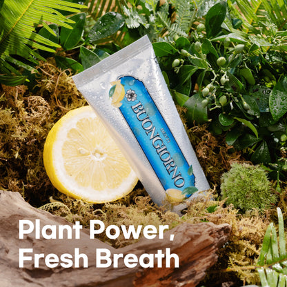 DENTI BUONGIORNO Plaque Care Toothpaste – Lemon Mint | Natural Fluoride