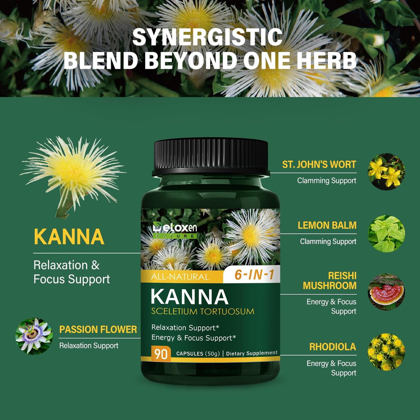 DetoxenNATURE Kanna Extract Power Capsules – Relaxation & Focus Support (90 Count)