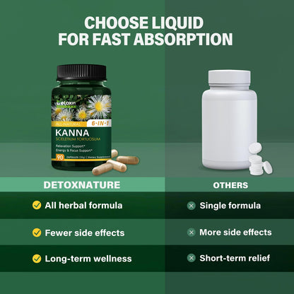 DetoxenNATURE Kanna Extract Power Capsules – Relaxation & Focus Support (90 Count)