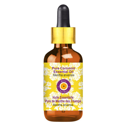 dève herbes Pure Cornmint Essential Oil (Mentha arvensis) – 100ml