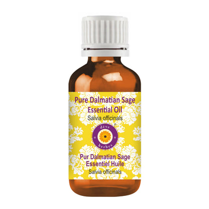 dève herbes Dalmatian Sage Essential Oil 5ml – Pure, Steam Distilled