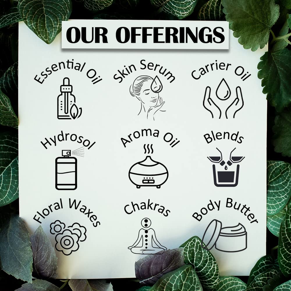dève herbes Melissa Essential Oil (Melissa officinalis) 120ml | Steam Distilled | Glass Dropper