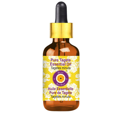 dève herbes Tagete Essential Oil (Tagetes minuta) | 100ml Steam Distilled with Glass Dropper | Pure, Non-Sticky, Non-Greasy