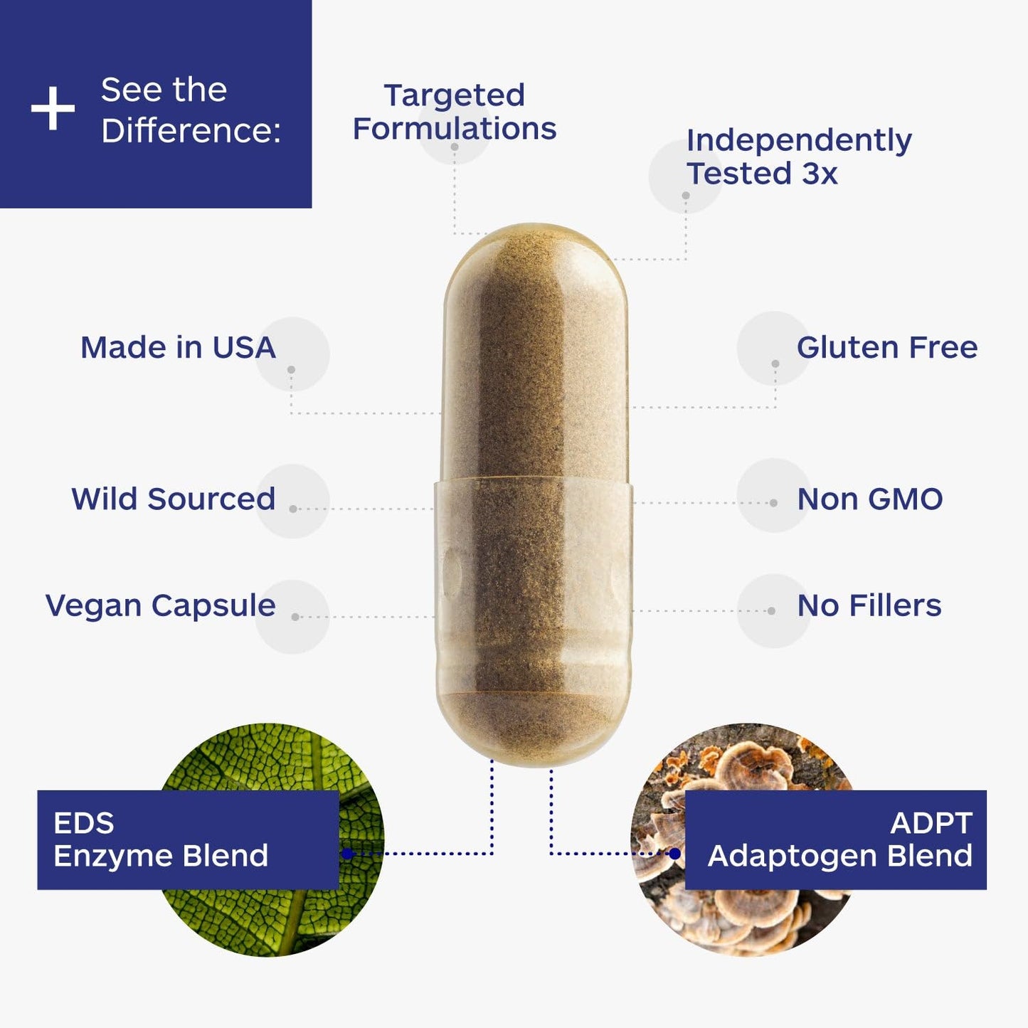DI-AIDE Enzymes – Advanced Digestive Support (Vegan, Non-GMO) 120 Caps