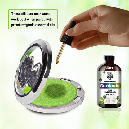 Dinosaur Aromatherapy Diffuser Necklace | Stainless Steel 30mm Pendant for Men & Women
