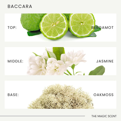 The Magic Scent Baccara Diffuser Oil – Luxury Hotel & Home Scents Inspired by Baccarat Rouge (8.5 fl oz / 250 mL)