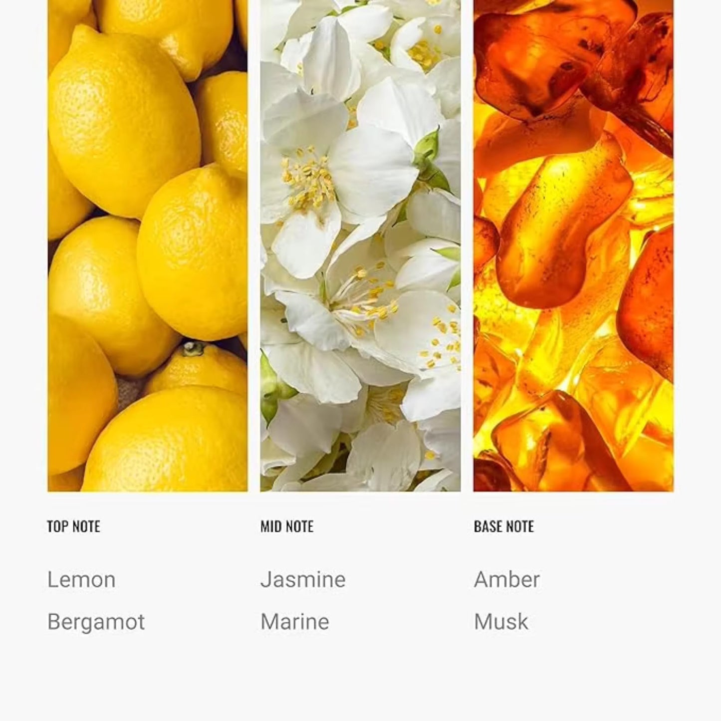 Ritz-Carlton Inspired Diffuser Oil 500ml – Bergamot, Jasmine & Amber
