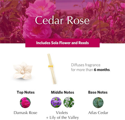 Cedar Rose Holiday PetiteEssence Diffuser 1.7oz | Premium Room Fragrance by Agraria