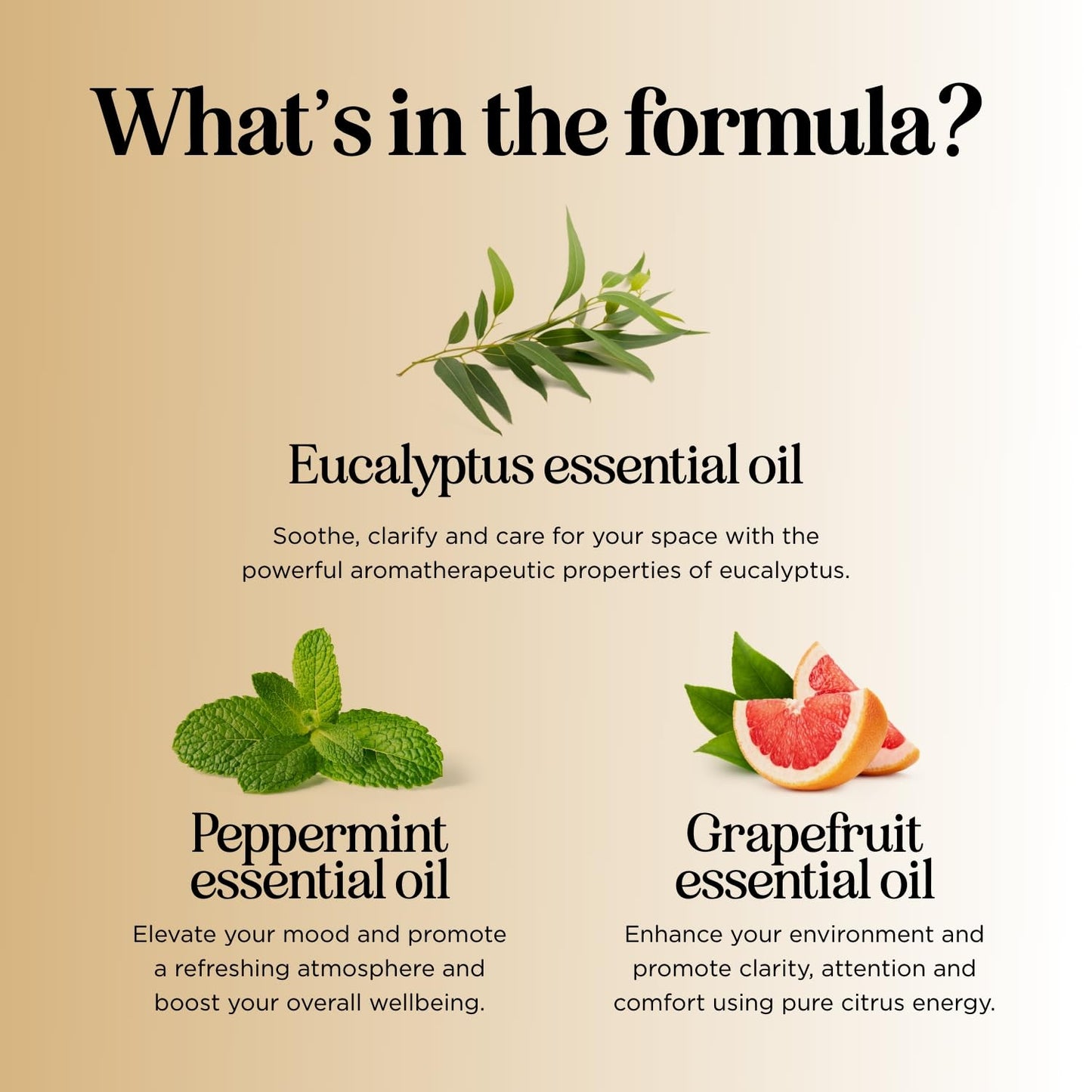 Focus Essential Oil Blend for Diffusers - Energy & Focus (Grapefruit, Bergamot, Peppermint, Eucalyptus) 1 Fl Oz