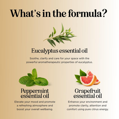 Focus Essential Oil Blend for Diffusers - Energy & Focus (Grapefruit, Bergamot, Peppermint, Eucalyptus) 1 Fl Oz