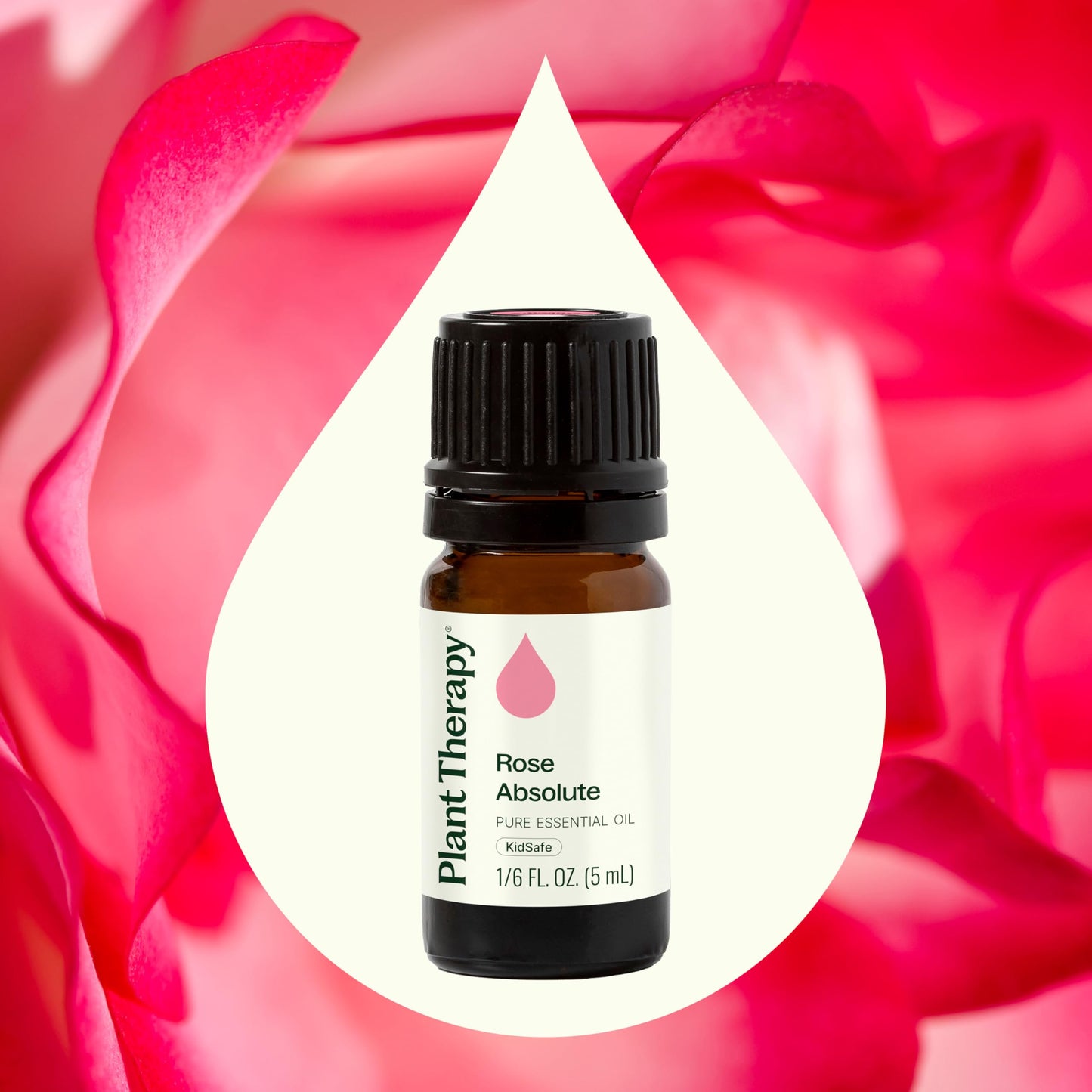 Rose Absolute Essential Oil 5 mL – Plant Therapy | 100% Pure
