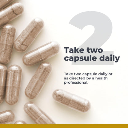 GastroVen by Premier Research Labs | Digestive Enzymes & Gut Health Supplement - 60 Capsules