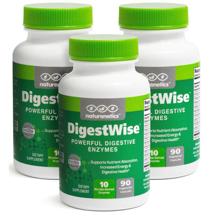 DigestWise Digestive Enzymes – 10 Vegan Enzymes for Digestion, Gas & Bloating | 90 Capsules