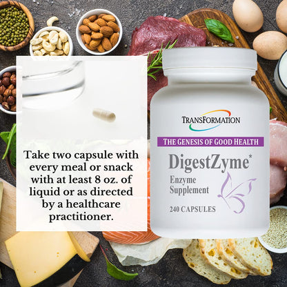 TRANSFORMATION Genesis DigestZyme — Gentle Enzymes & Probiotics for Digestive Support
