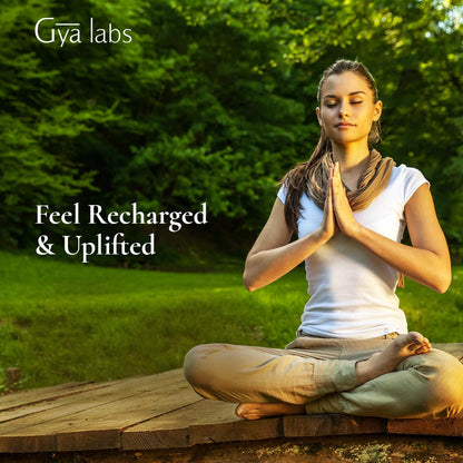 Gya Labs Frosty Forest Essential Oil Blend - Revitalizing & Invigorating (0.34 Fl Oz)