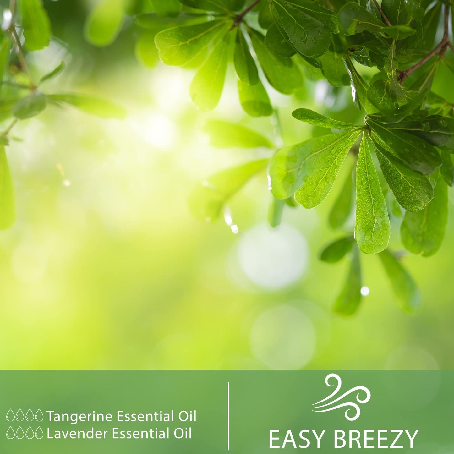 Tangerine Essential Oil 30ml – PHATOIL Pure Aromatherapy for Diffusers, DIY Soap, Candle, Bath Bombs