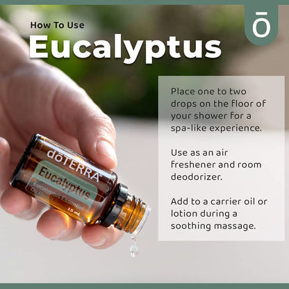 doTERRA Eucalyptus Radiata Essential Oil - 15 mL | Clear Breathing