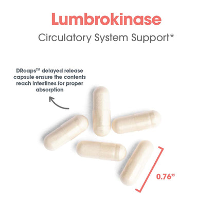 ARG Lumbrokinase Circulatory System Support – Delayed-Release Enzyme Supplement | Allergy Research Group