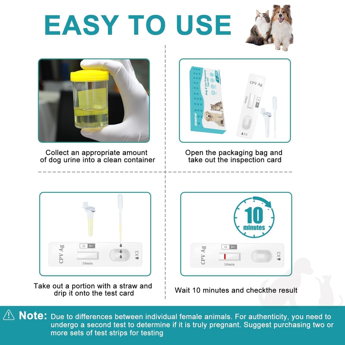 Dog & Cat Pregnancy Test Kit at Home — Urine-Based, 98.8% Accurate, 10-Minute Results