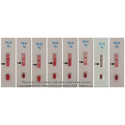 Dog Pregnancy Test Kit at Home- 5-Min Results, Painless & Clean (No Blood Draw), 99% Accurate for Breeders & Owners