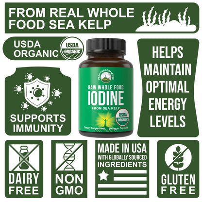 USDA Organic Raw Whole Food Iodine Supplement from Organic Kelp (Ascophyllum Nodosum) – 60 Vegan Capsules