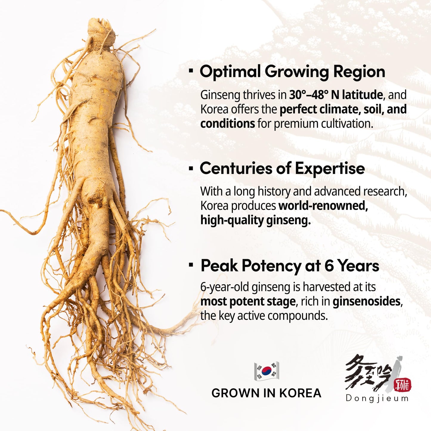 Dongjieum Korean Red Ginseng 6-Year Root - 120 Vegan Capsules | Enhanced Ginsenosides