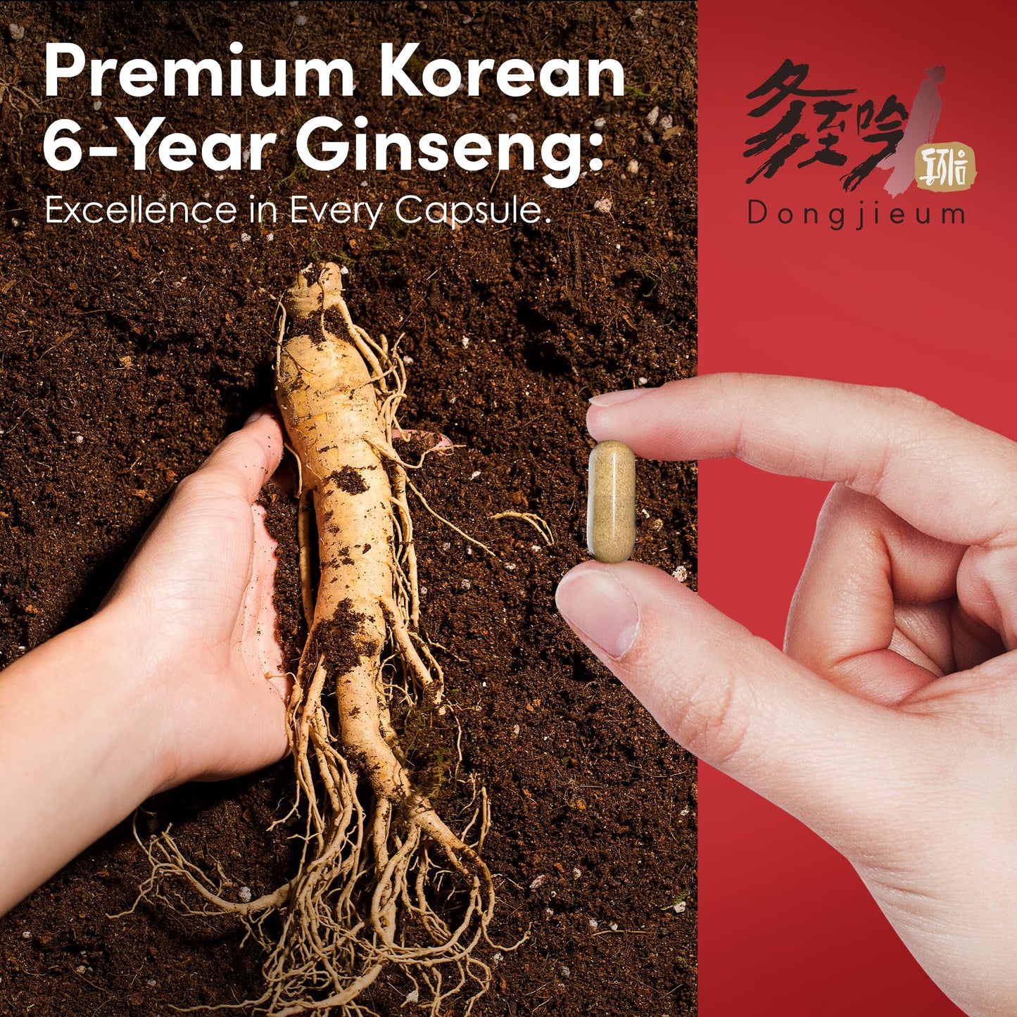 Dongjieum Korean Red Ginseng 6-Year Root - 120 Vegan Capsules | Enhanced Ginsenosides