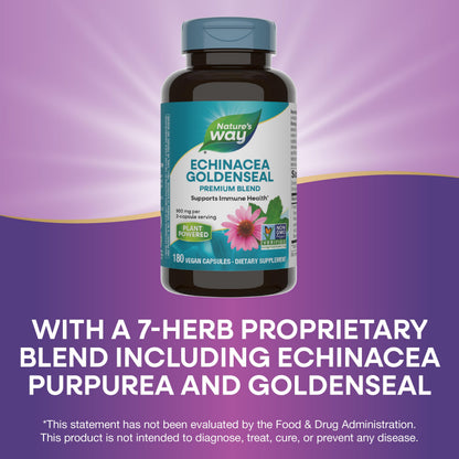 Nature's Way Echinacea Goldenseal - 900 mg Echinacea, 7-Herb Blend Immune Support | Gluten Free | 180 Vegan Capsules (Pack of 2)