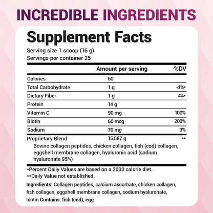 Dr. Berg Multi Collagen Peptides Powder Types I-V – Unflavored, 14 g Protein, 25 Servings