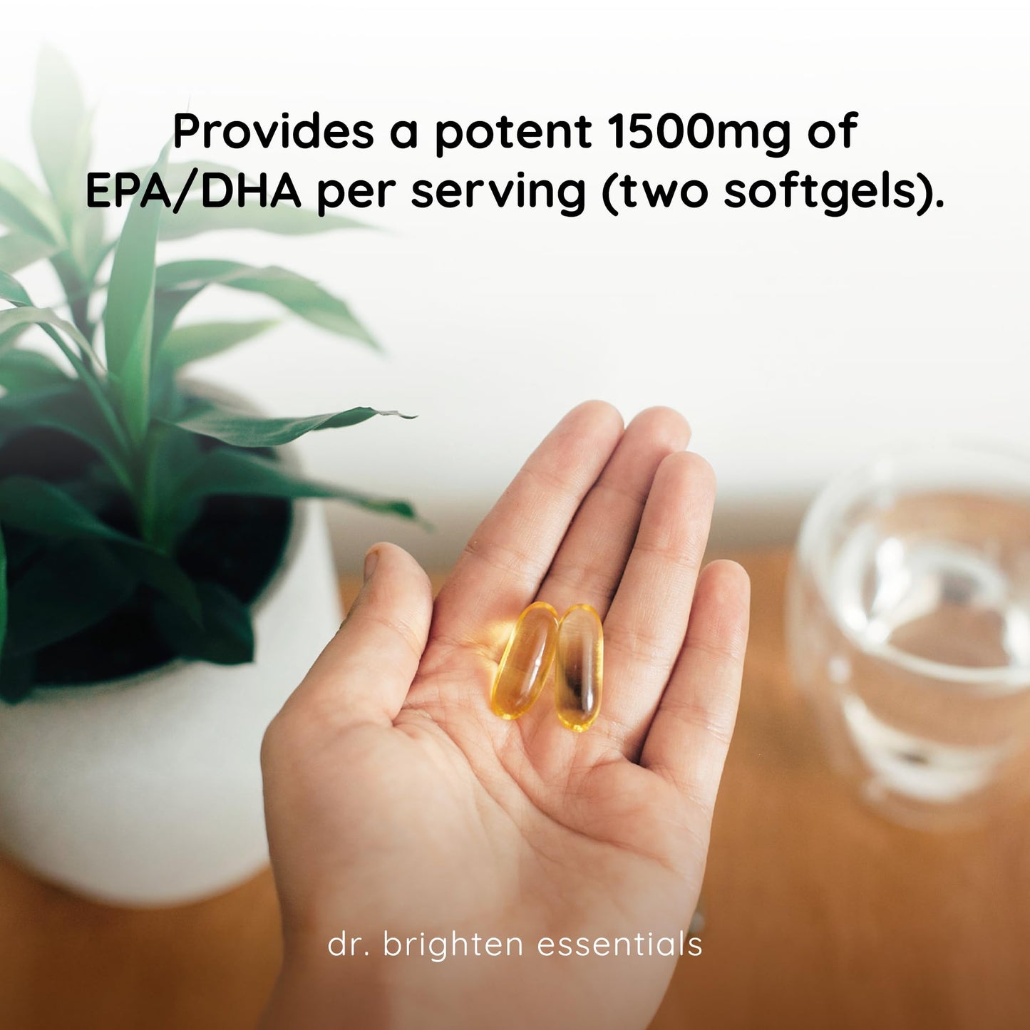 Dr. Brighten Omega Plus — 1600 mg EPA/DHA Non-GMO Fish Oil, 60 Softgels