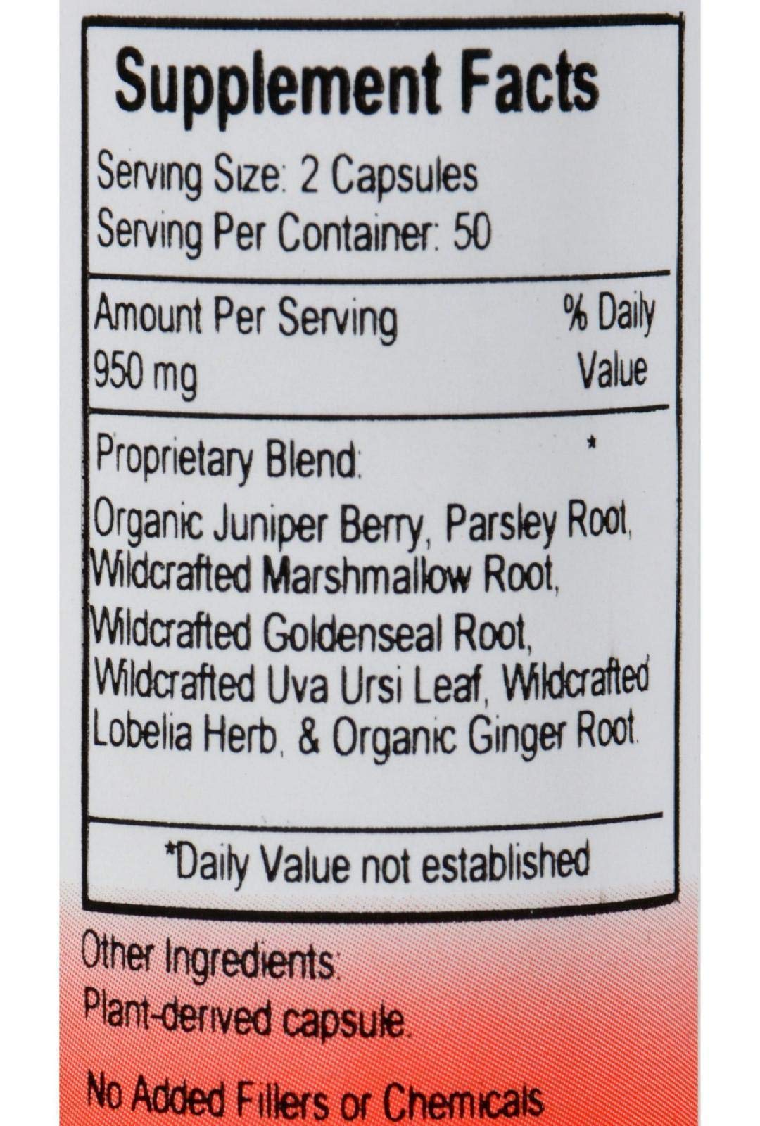 Dr. Christopher's Kidney Formula - 100 Caps | Kidney Support Supplement