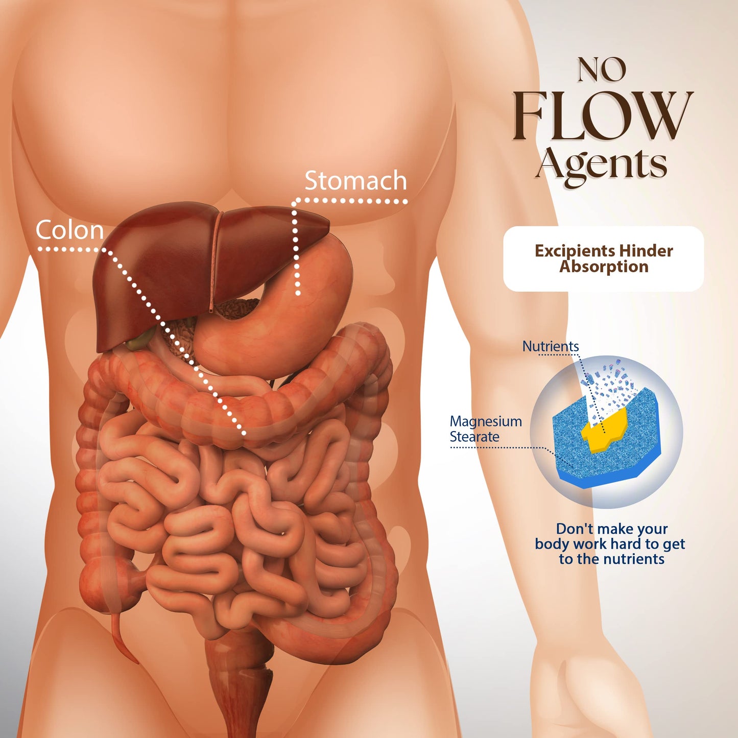 Dr. Clark Arginine 500mg – 100 Gelatin Capsules