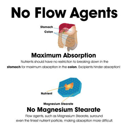 Dr. Clark Pepsin Supplement 700mg - 100 Capsules | Digestive Enzymes