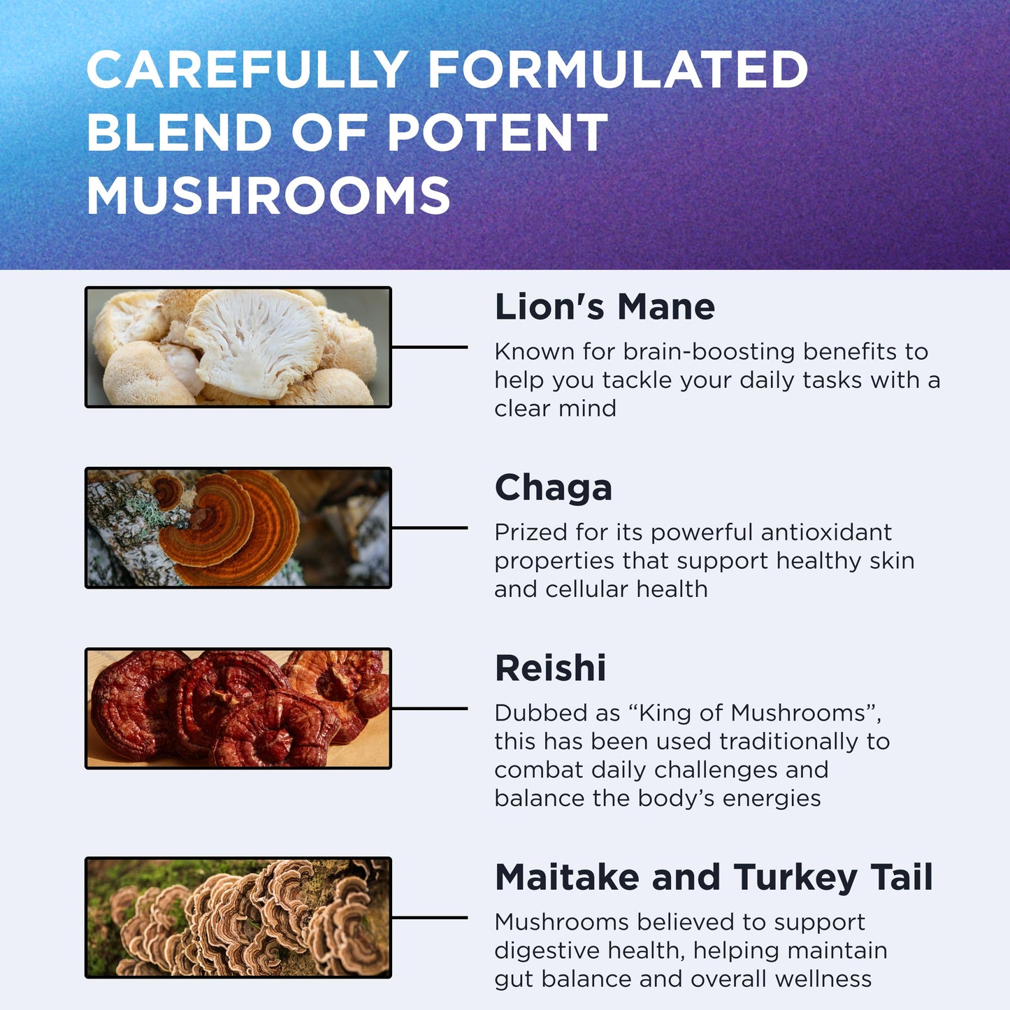 Dr. Emil Nutrition 9000mg Lion's Mane Capsules – Organic Mushroom Blend with Chaga, Reishi & Maitake