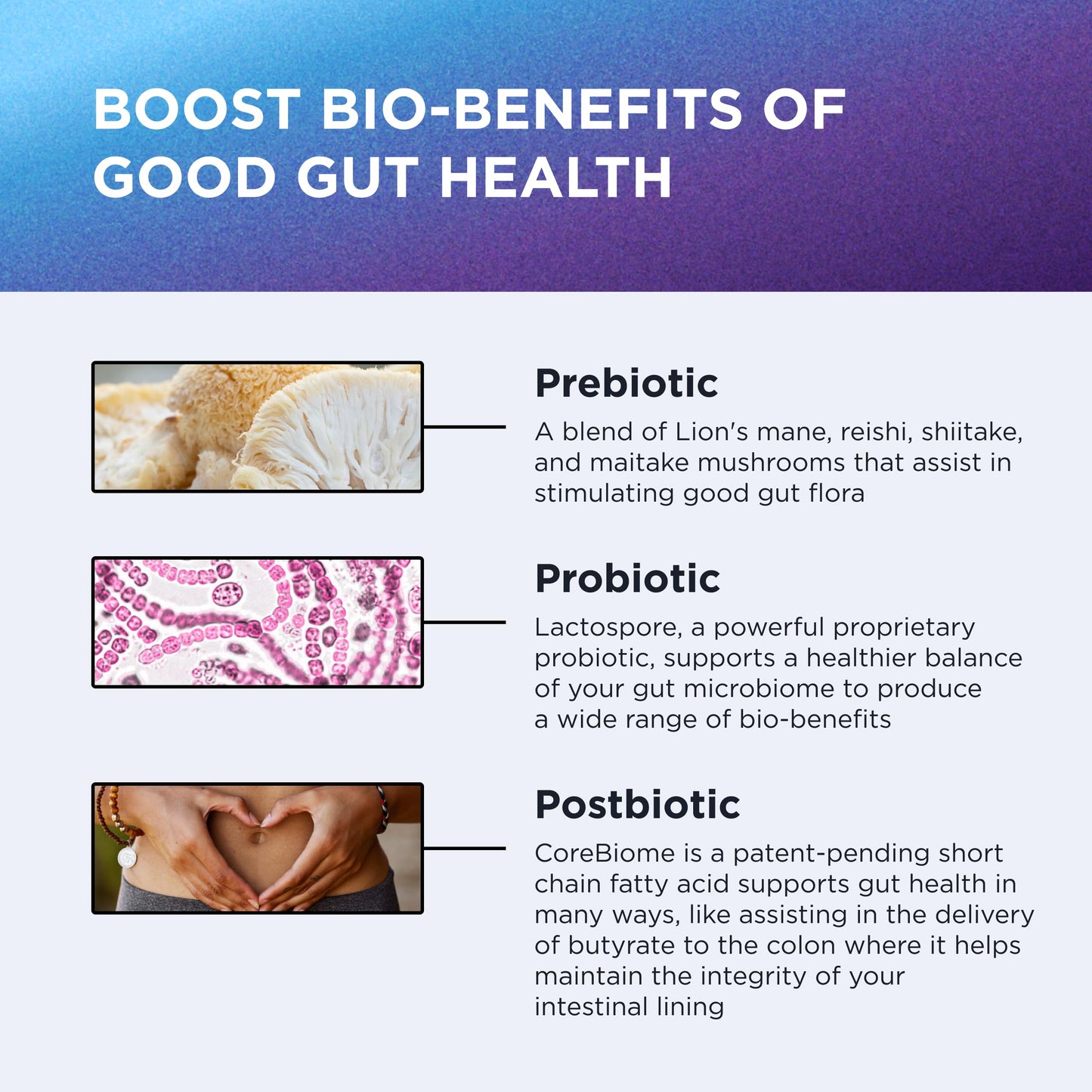 DR. EMIL NUTRITION Total Gut Health Complex – Prebiotic, Probiotic & Postbiotic Supplement – Supports Digestive Health, Bloating & Gut Balance – Non-GMO & Soy-Free – 60 Capsules