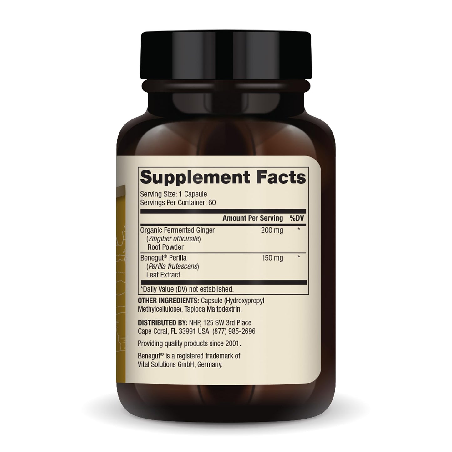 Dr. Mercola Fermented Ginger with Benegut – Supports Digestive & Gut Health | 60 Capsules