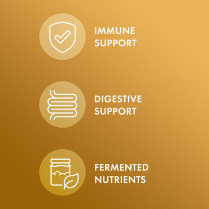 Dr. Mercola Fermented Ginger with Benegut – Supports Digestive & Gut Health | 60 Capsules