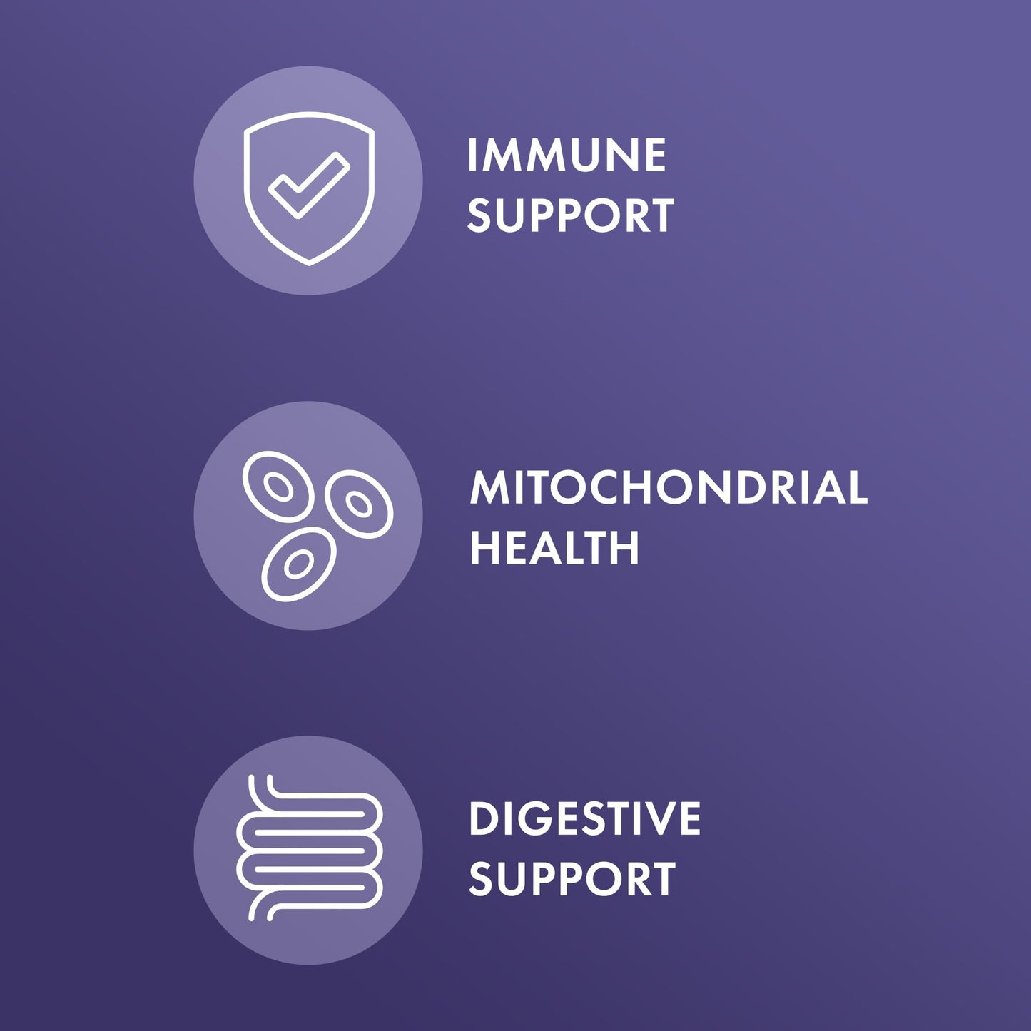 Dr. Mercola Full Spectrum Enzymes - Digestive & Immune Support | 22 Enzymes | Non-GMO
