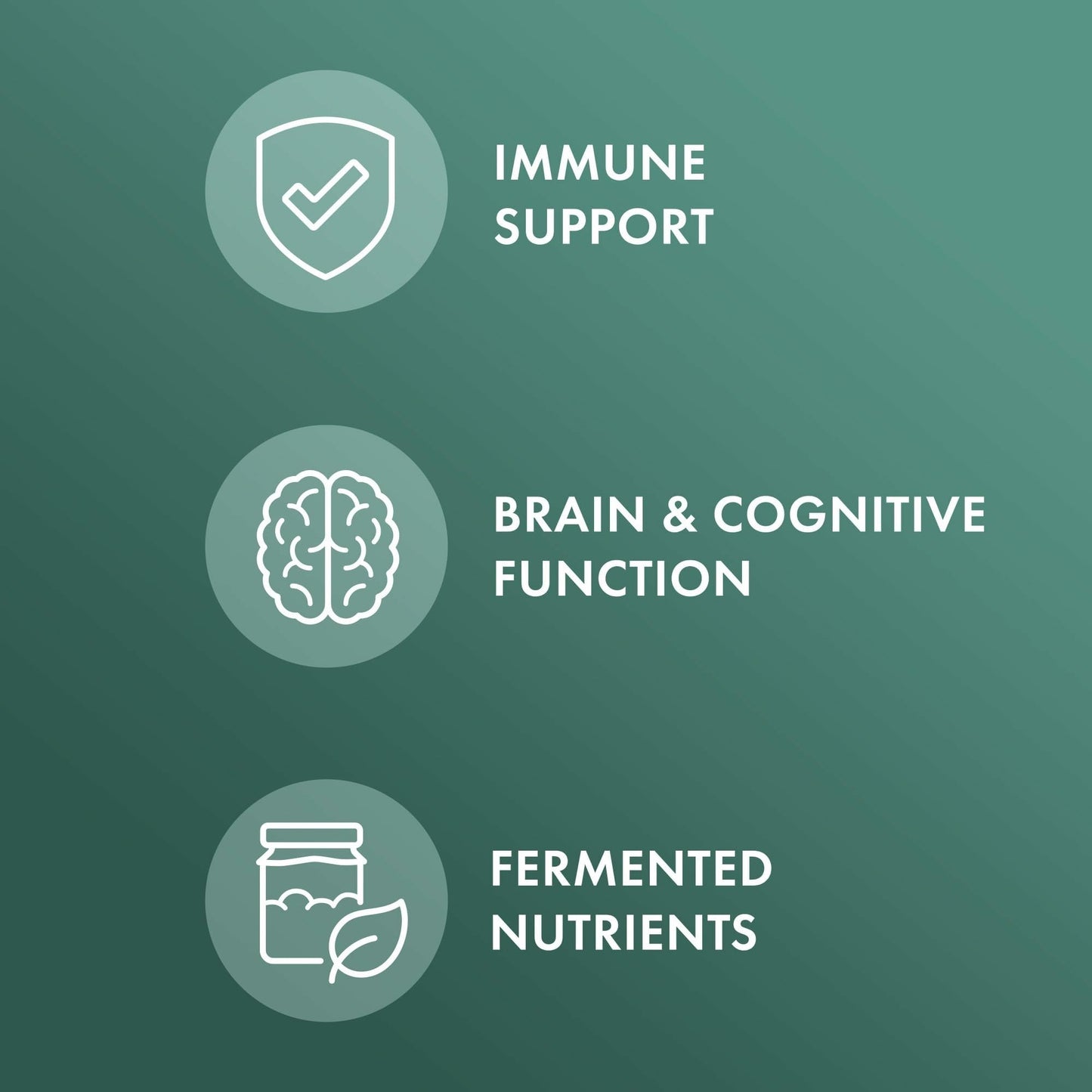 Dr. Mercola Organic Fermented Mushroom Complex - Immune & Cellular Health - 90 Capsules (30 Servings) - Non-GMO & Gluten-Free