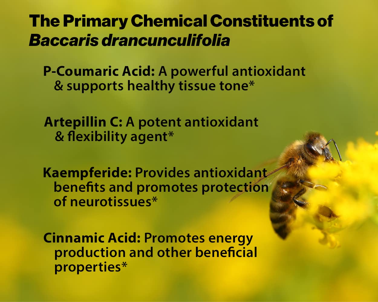 Dr. Ohhira's Propolis Plus 60 Capsules with Brazilian Green Propolis, Probiotic Extract and Astaxanthin