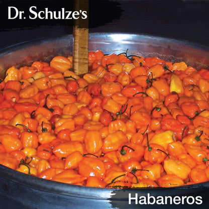 Dr. Schulze's Brain Formula 2 oz - Vegan & Wild-Harvested | Mental Focus