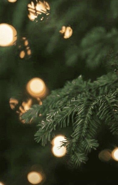 Dr. Vranjes Albero Di Natale Christmas-Tree Room Diffuser 250 ml